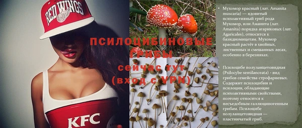 спиды Беломорск