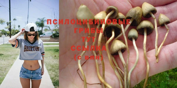 mix Белокуриха