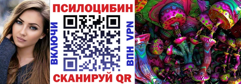 omg онион  Курганинск  Псилоцибиновые грибы Psilocybine cubensis 