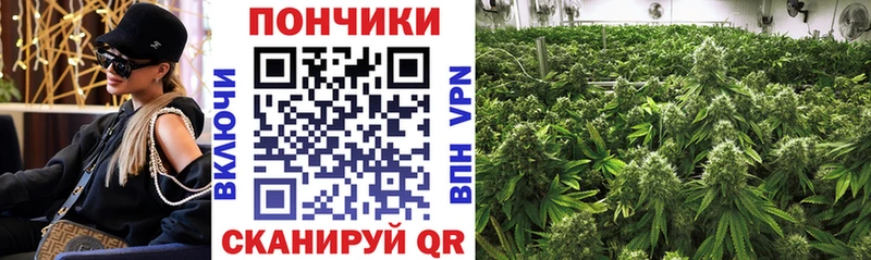 Канабис VHQ  блэк спрут зеркало  Курганинск  где купить наркоту 